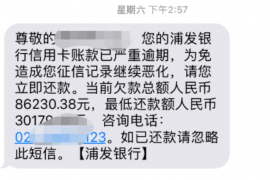 双峰专业讨债公司，追讨消失的老赖